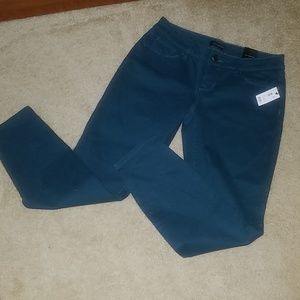 The Limited Skinny Leg Pants Jeggings